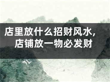 店里放什么招财风水,店铺放一物必发财