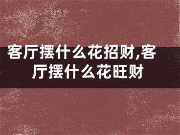 客厅摆什么花招财,客厅摆什么花旺财