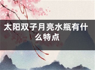 太阳双子月亮水瓶有什么特点