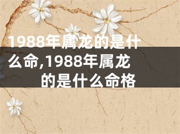 1988年属龙的是什么命,1988年属龙的是什么命格