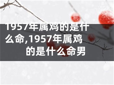 1957年属鸡的是什么命,1957年属鸡的是什么命男