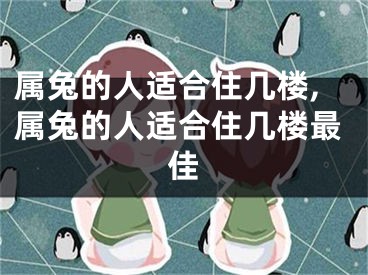 属兔的人适合住几楼,属兔的人适合住几楼最佳