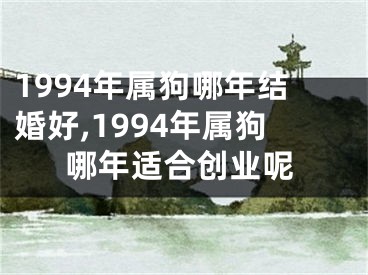 1994年属狗哪年结婚好,1994年属狗哪年适合创业呢