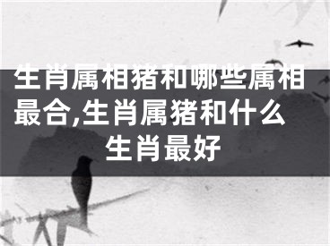 生肖属相猪和哪些属相最合,生肖属猪和什么生肖最好