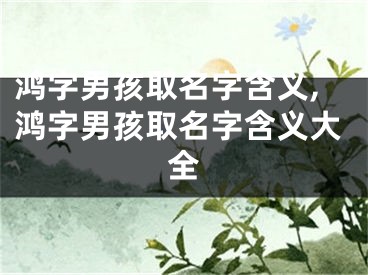 鸿字男孩取名字含义,鸿字男孩取名字含义大全