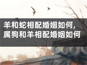 羊和蛇相配婚姻如何,属狗和羊相配婚姻如何