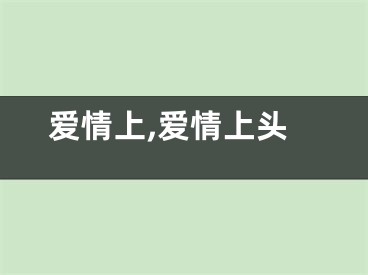 爱情上,爱情上头