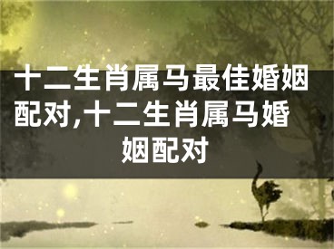 十二生肖属马最佳婚姻配对,十二生肖属马婚姻配对