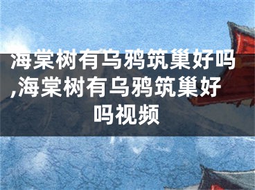 海棠树有乌鸦筑巢好吗,海棠树有乌鸦筑巢好吗视频