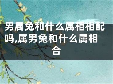 男属兔和什么属相相配吗,属男兔和什么属相合