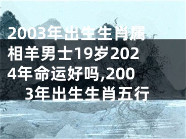 2003年出生生肖属相羊男士19岁2024年命运好吗,2003年出生生肖五行