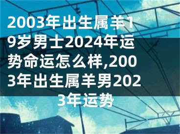2003年出生属羊19岁男士2024年运势命运怎么样,2003年出生属羊男2023年运势