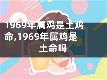1969年属鸡是土鸡命,1969年属鸡是土命吗