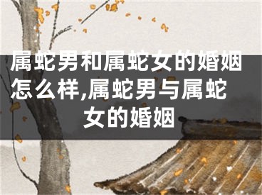 属蛇男和属蛇女的婚姻怎么样,属蛇男与属蛇女的婚姻