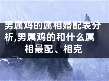 男属鸡的属相婚配表分析,男属鸡的和什么属相最配、相克