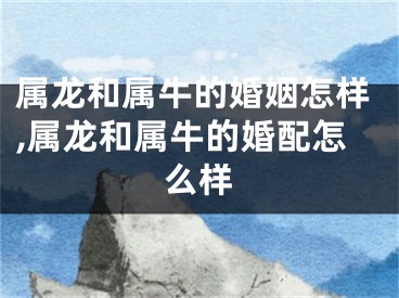 属龙和属牛的婚姻怎样,属龙和属牛的婚配怎么样