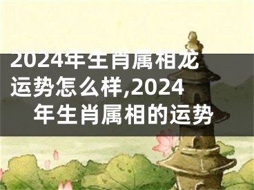 2024年生肖属相龙运势怎么样,2024年生肖属相的运势