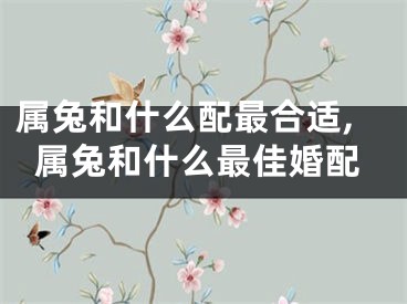 属兔和什么配最合适,属兔和什么最佳婚配