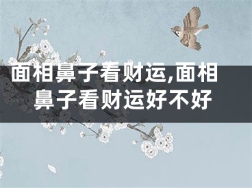 面相鼻子看财运,面相鼻子看财运好不好