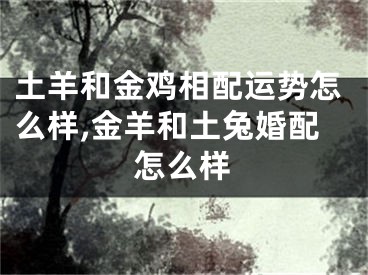 土羊和金鸡相配运势怎么样,金羊和土兔婚配怎么样