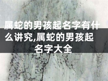 属蛇的男孩起名字有什么讲究,属蛇的男孩起名字大全