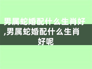 男属蛇婚配什么生肖好,男属蛇婚配什么生肖好呢