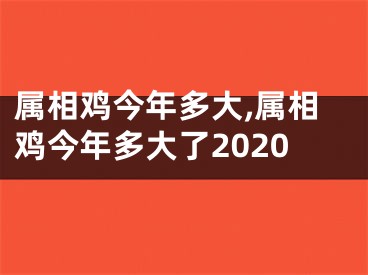 属相鸡今年多大,属相鸡今年多大了2020