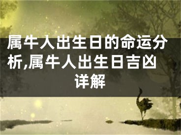 属牛人出生日的命运分析,属牛人出生日吉凶详解