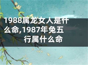 1988属龙女人是什么命,1987年兔五行属什么命