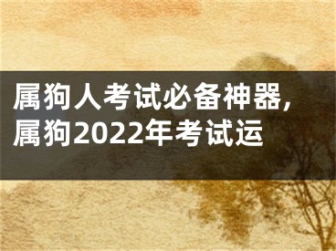 属狗人考试必备神器,属狗2022年考试运