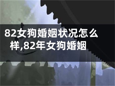 82女狗婚姻状况怎么样,82年女狗婚姻