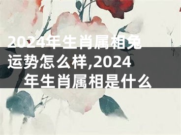2024年生肖属相兔运势怎么样,2024年生肖属相是什么