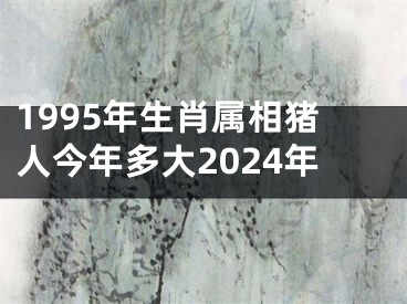 1995年生肖属相猪人今年多大2024年