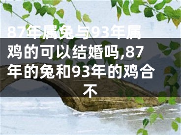 87年属兔与93年属鸡的可以结婚吗,87年的兔和93年的鸡合不