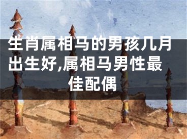 生肖属相马的男孩几月出生好,属相马男性最佳配偶