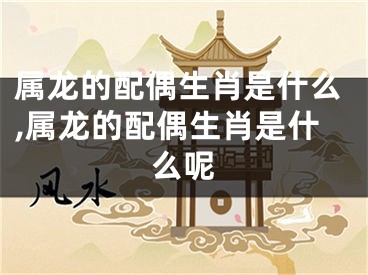 属龙的配偶生肖是什么,属龙的配偶生肖是什么呢