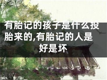 有胎记的孩子是什么投胎来的,有胎记的人是好是坏