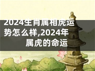 2024生肖属相虎运势怎么样,2024年属虎的命运
