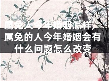 属兔人今年婚姻怎样,属兔的人今年婚姻会有什么问题怎么改变