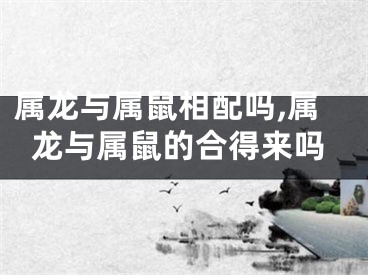属龙与属鼠相配吗,属龙与属鼠的合得来吗