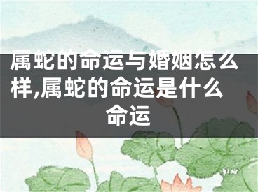 属蛇的命运与婚姻怎么样,属蛇的命运是什么命运