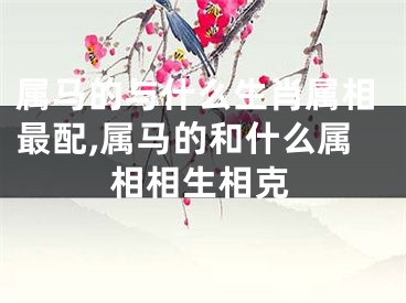 属马的与什么生肖属相最配,属马的和什么属相相生相克