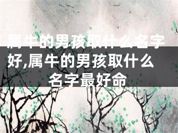 属牛的男孩取什么名字好,属牛的男孩取什么名字最好命