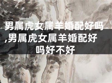 男属虎女属羊婚配好吗,男属虎女属羊婚配好吗好不好