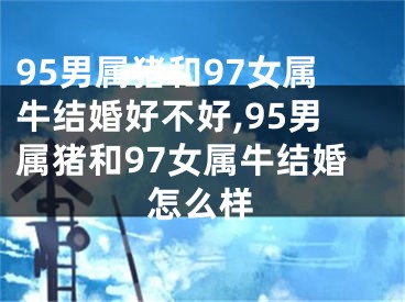 95男属猪和97女属牛结婚好不好,95男属猪和97女属牛结婚怎么样