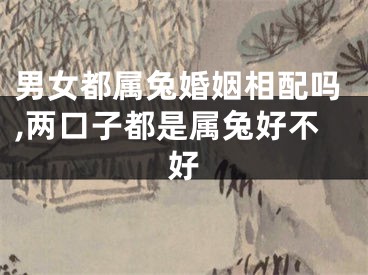 男女都属兔婚姻相配吗,两口子都是属兔好不好