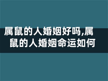 属鼠的人婚姻好吗,属鼠的人婚姻命运如何