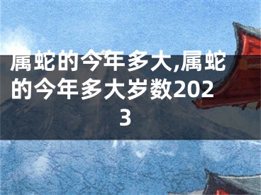 属蛇的今年多大,属蛇的今年多大岁数2023
