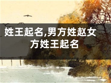 姓王起名,男方姓赵女方姓王起名