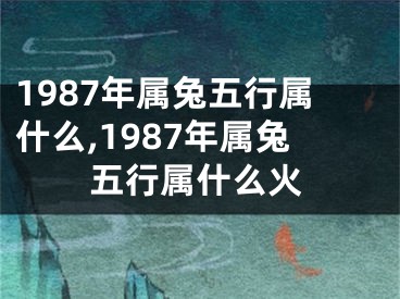 1987年属兔五行属什么,1987年属兔五行属什么火